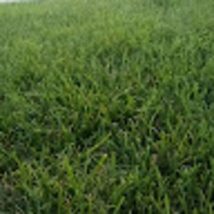 Meet your Posher, Miscellaneous